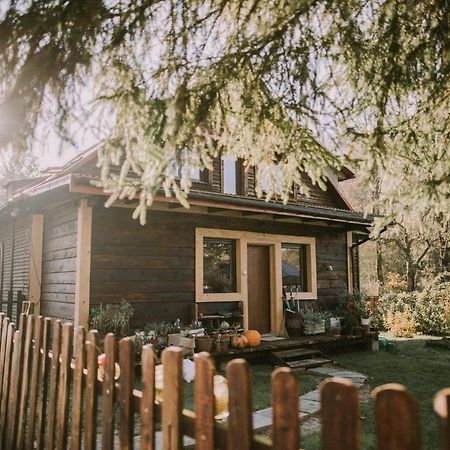 Вилла Bieszczadzki Zakatek :-) Skorodne Экстерьер фото
