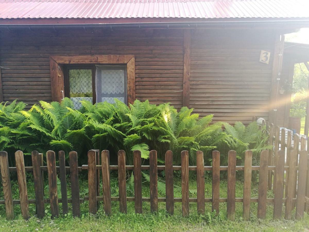 Вилла Bieszczadzki Zakatek :-) Skorodne Экстерьер фото