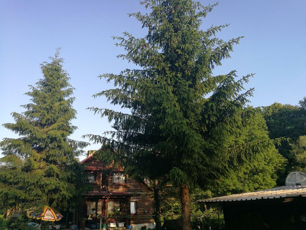 Вилла Bieszczadzki Zakatek :-) Skorodne Экстерьер фото