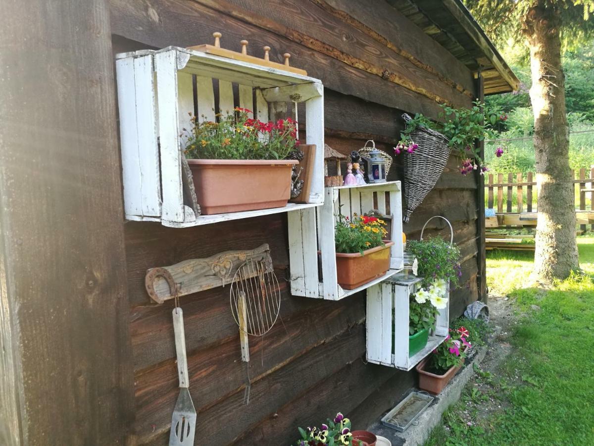 Вилла Bieszczadzki Zakatek :-) Skorodne Экстерьер фото